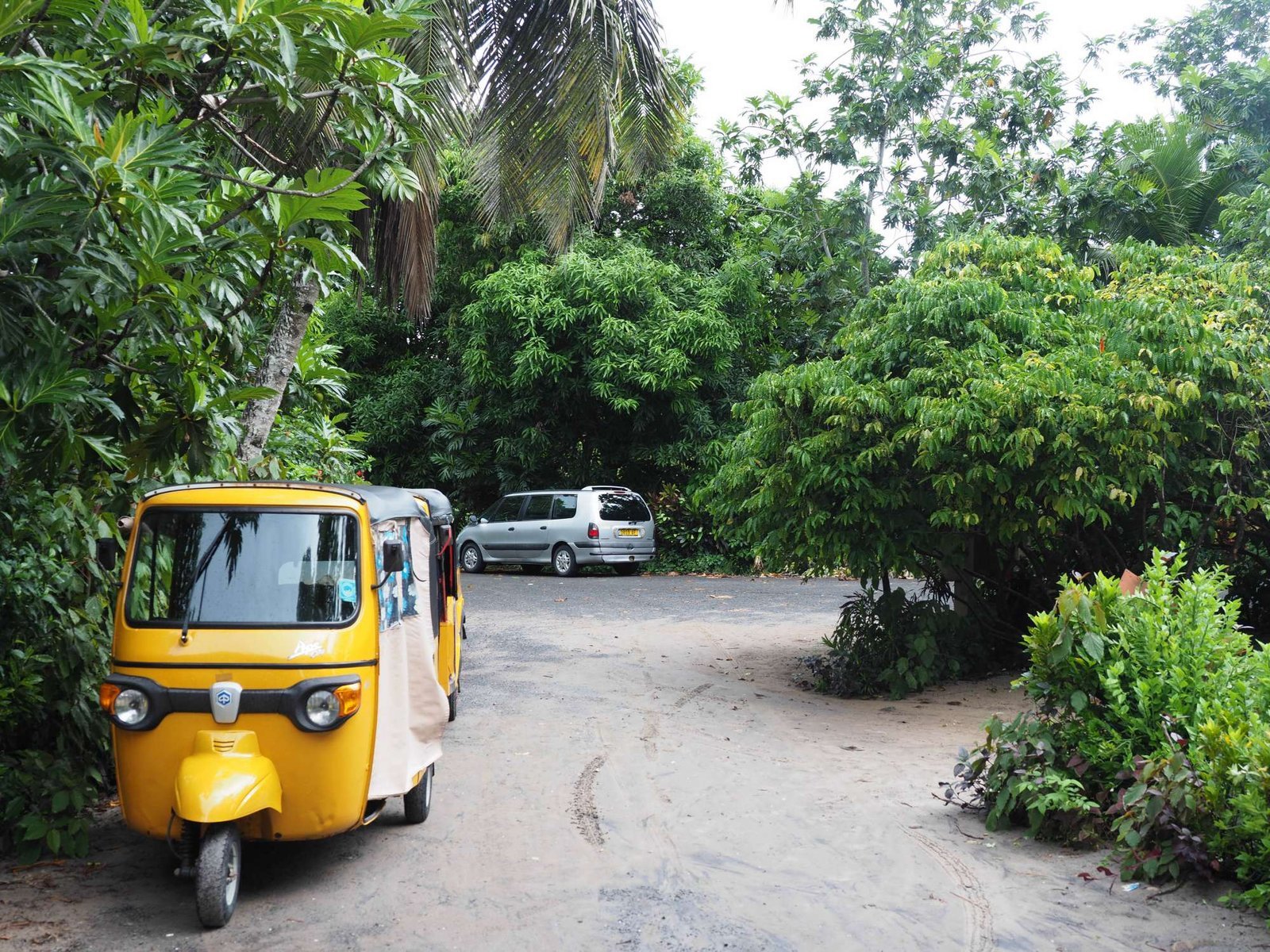 Tuk-tuk jaune sur la piste qui mène à Piment Vanille